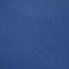 Violet Blue (61)