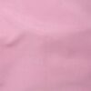 Cassis (41)