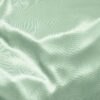 Mint Sorbet* (65)