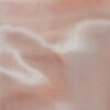 Rose pale (12)