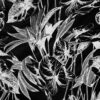 Black/White (02)