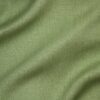 Vert mousse (25)