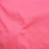 Fuschia (12)