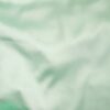 Mint Sorbet (87)
