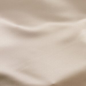 23599-153 ROSELYN SATIN-Nude