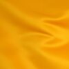 Mustard (65)