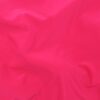 Fuchsia (109)