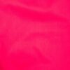 Fuchsia (13)