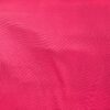 Fuchsia (09)