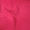 Rose Flamboyant (12)
