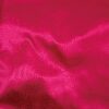 Fuchsia (15)