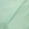 Mint (17)