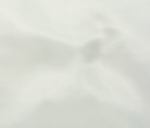 41101-03 Satin Organza-Ivory