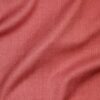 Raspberry* (14)