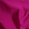 Fuschia (09)