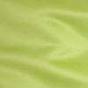 Lime (40)