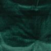 Green Forest (09)