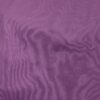 Crocus (24)