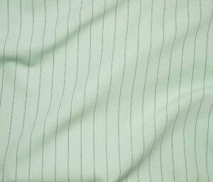 43733-14 Astaire Stripe-Mint/Black