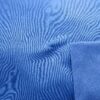 Blue Hydrangea* (22)