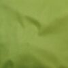 Lime (13)