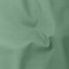 Olive (42)