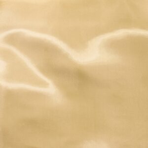 44227-03 Radiant Organza-Ivory