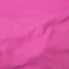 Fuchsia Fiesta (90)