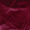 Raspberry (07)