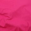 Fuchsia (13)