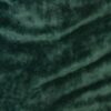 Forest Green* (10)