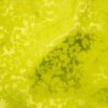 lime (07)