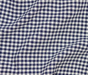 45235-04 Organic Gingham-Navy