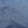 Delphinium Blue (26)