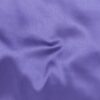 Purple Iris (23)