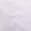 Ice (42)
