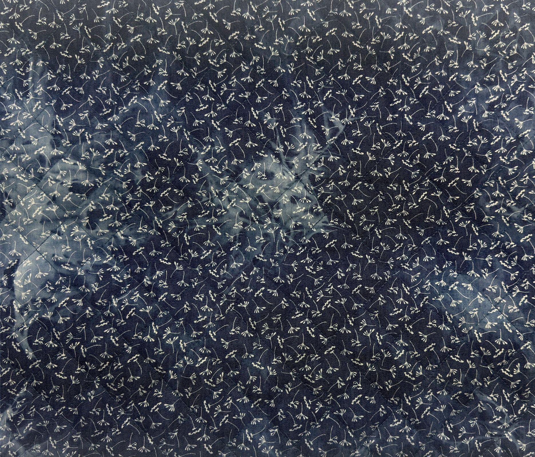 46641-01-24.jpg