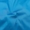Fiji Blue* (19)