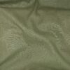 Olive (10)