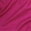 Fuchsia (17)
