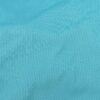 Light Aqua* (26)