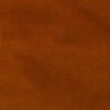 Rust (11)