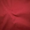 Red Dahlia (33)