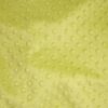 Lettuce (12)