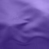 Purple Iris* (31)