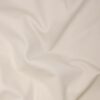 Ivory (03)