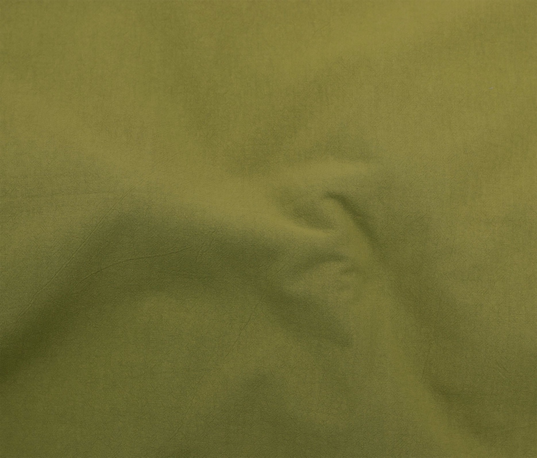 Olive (13)