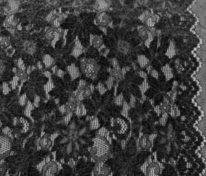 46597-02 Norah Chenille Lace-Black
