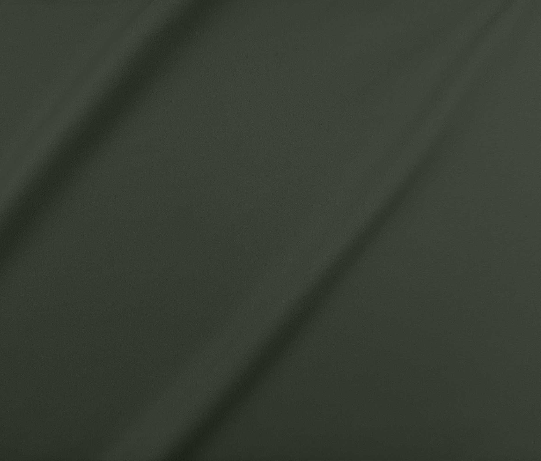 Vert Armée (06)