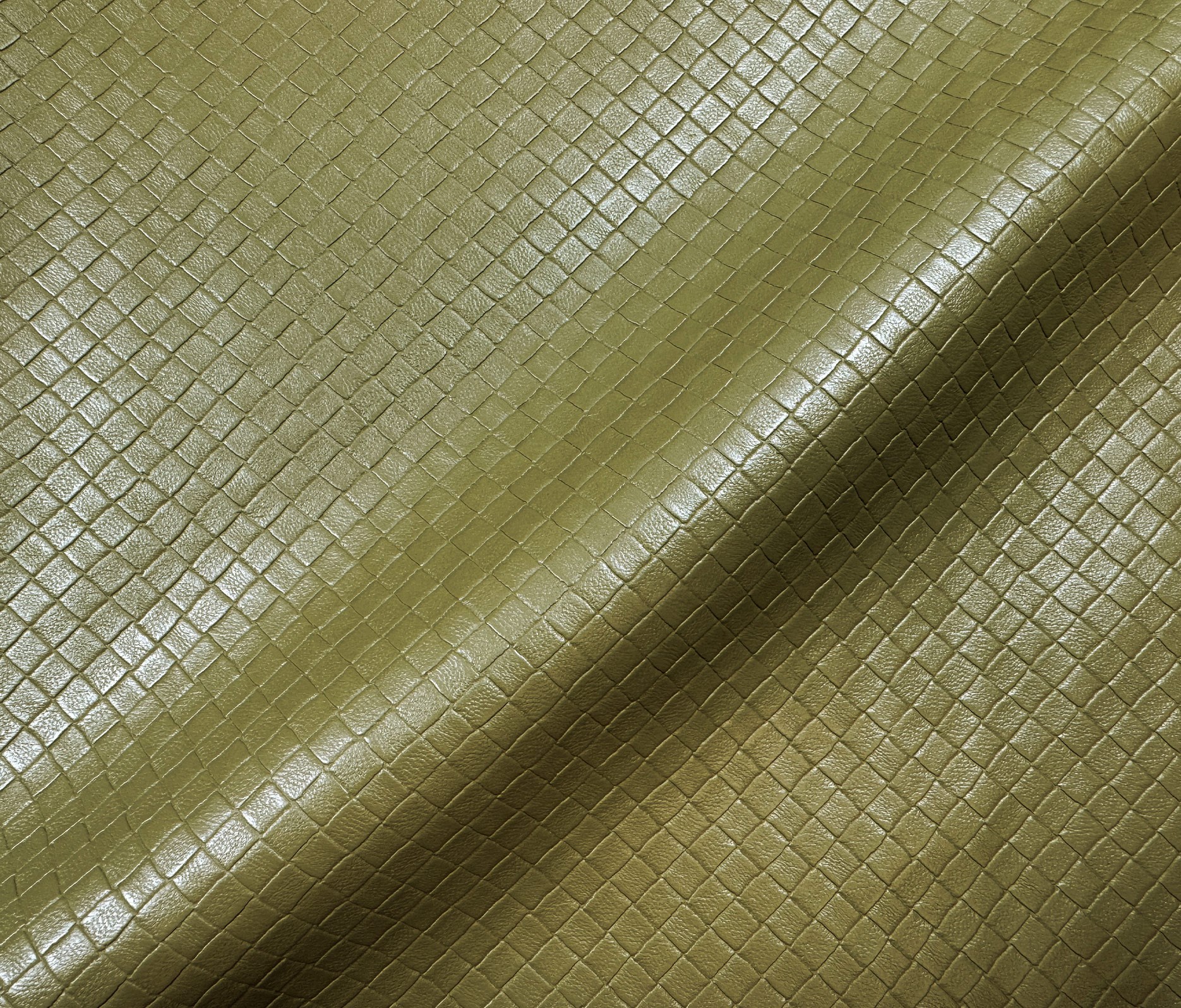 Olive (08)